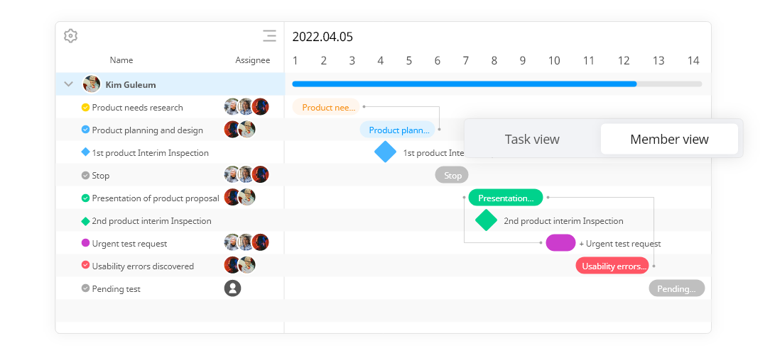 Gantt chart project view, member view