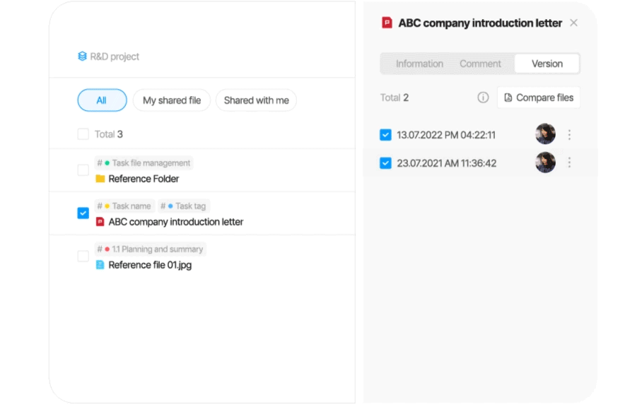 Project File Compare Features